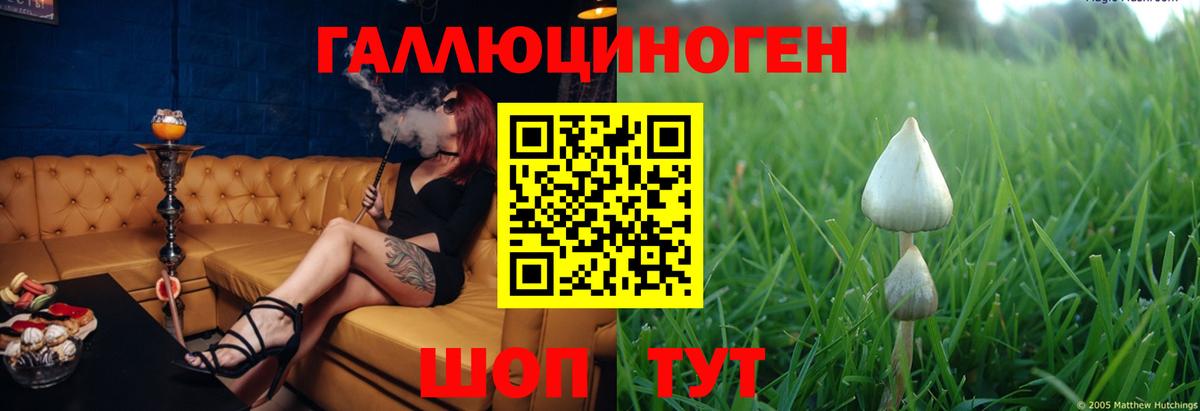 Псилоцибиновые грибы Magic Shrooms Красногорск