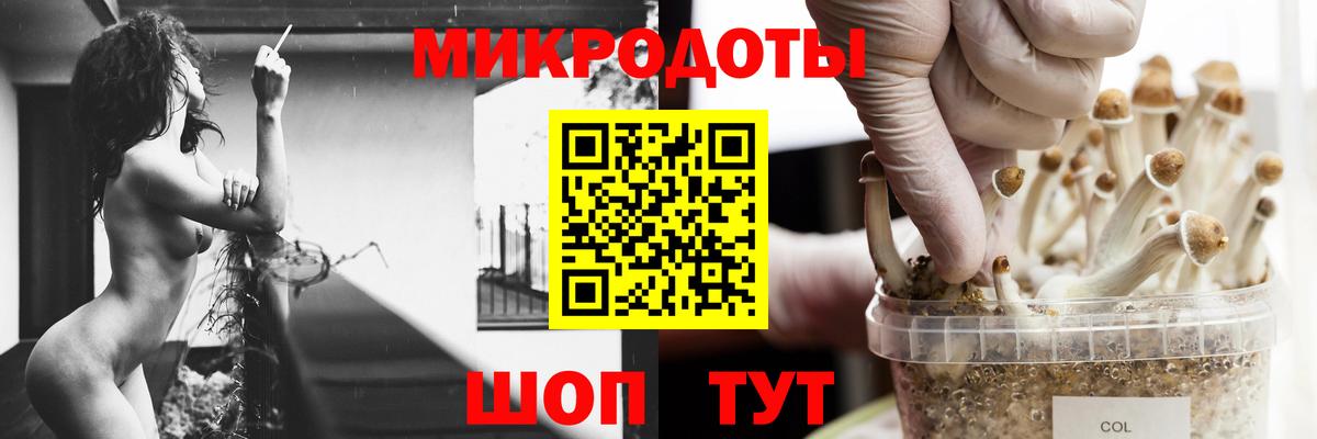 Красногорск  Галлюциногенные грибы прущие грибы  Вход с VPN  Псилоцибиновые грибы ЛСД 